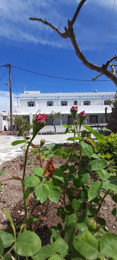 Elia Bed & Breakfast Skala  Exterior photo
